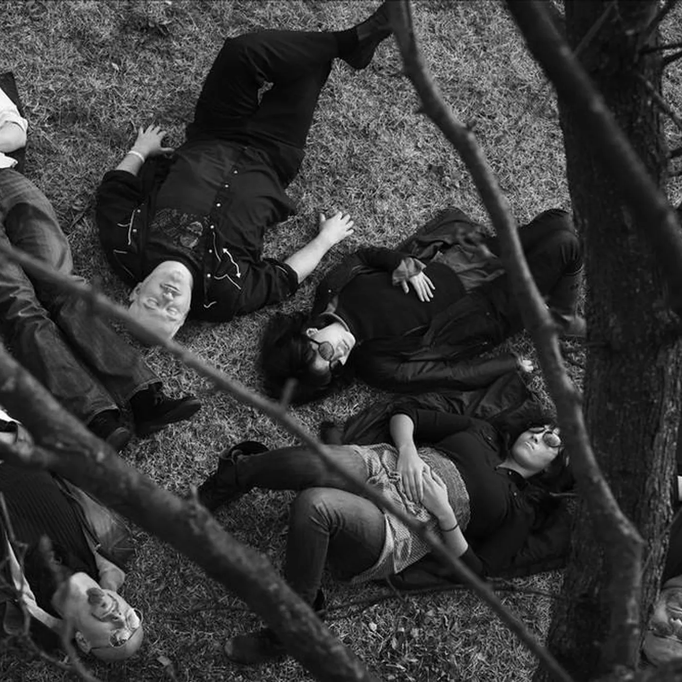 Jon Langford & Skull Orchard