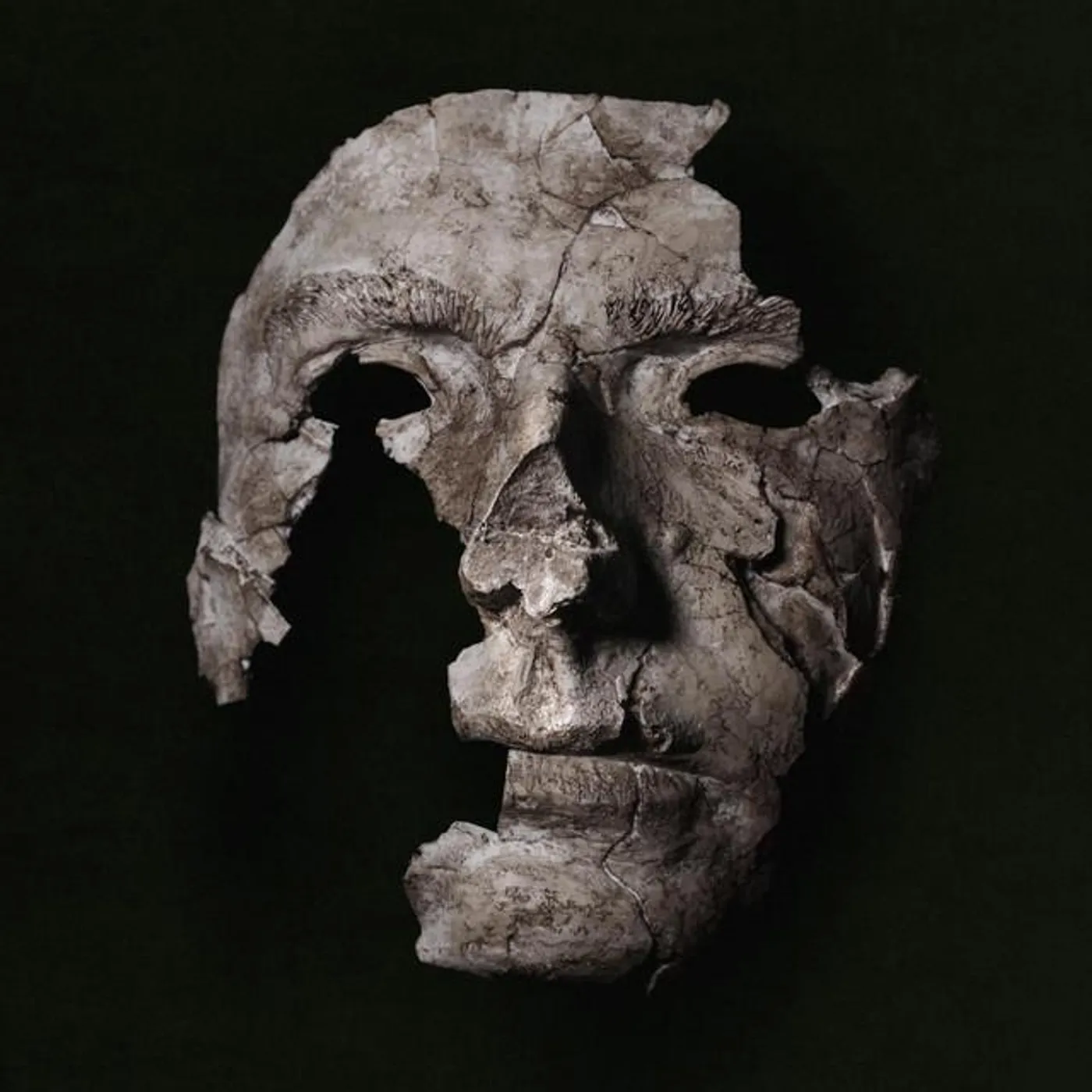 Jorge Elbrecht Brand Page