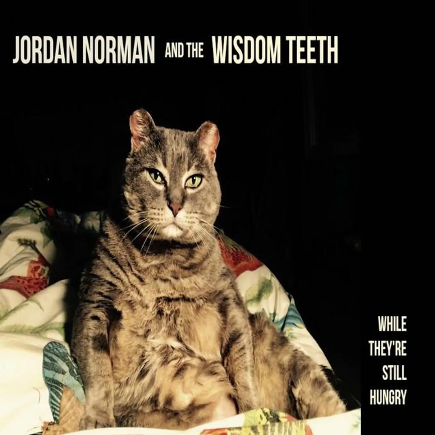 Jordan Norman and the Wisdom Teeth