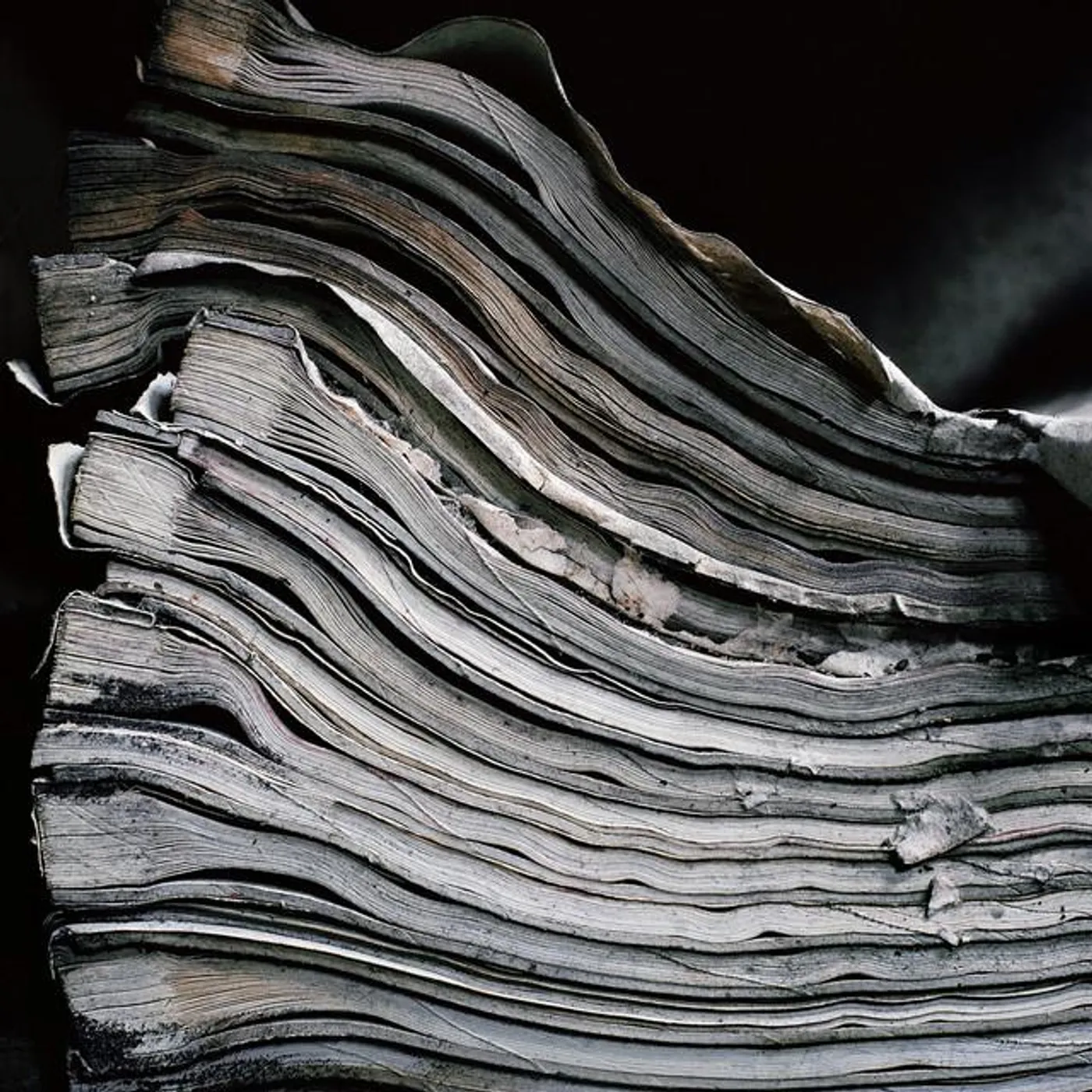 José Manuel López López Brand Page