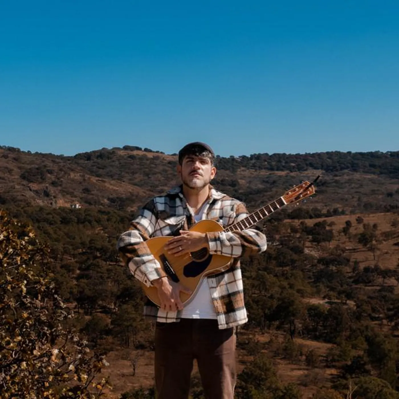 José Meyer Ibarra Brand Page