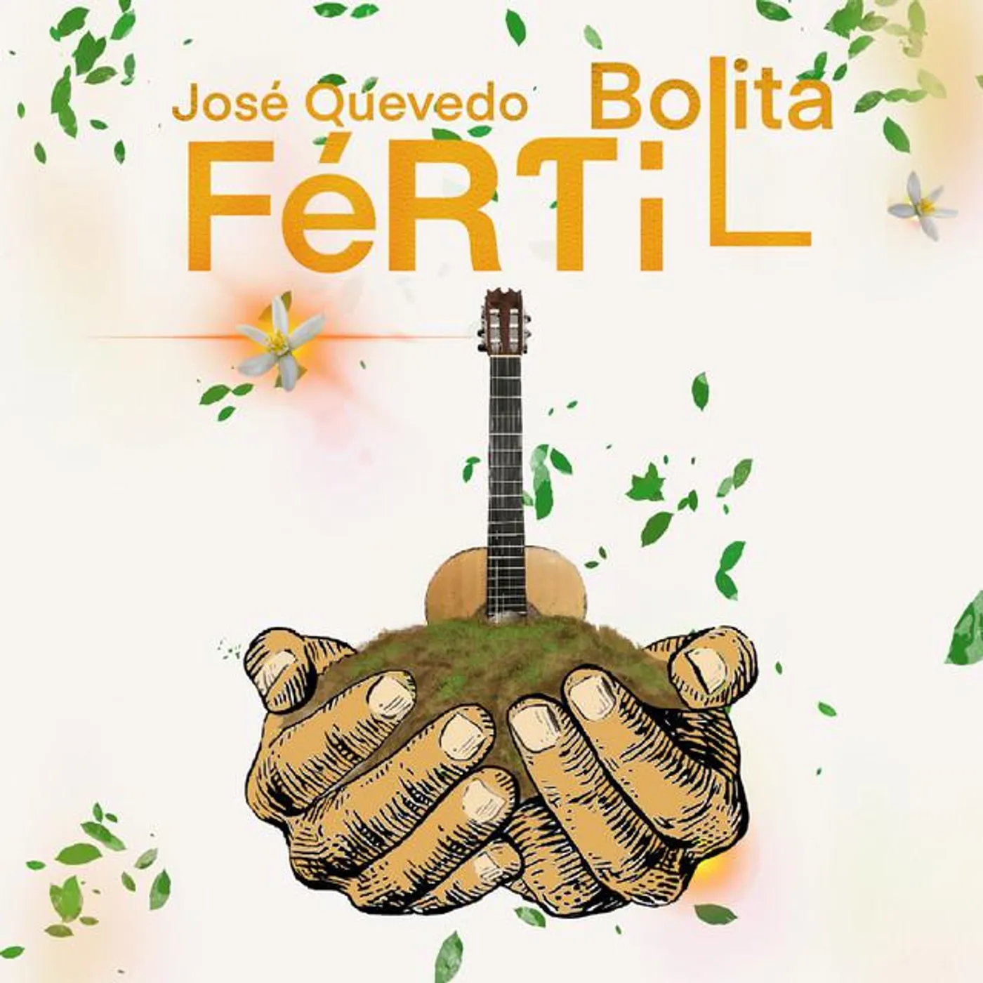 José Quevedo "Bolita" Brand Page