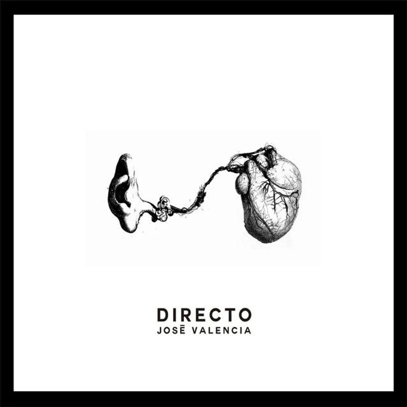 José Valencia Brand Page