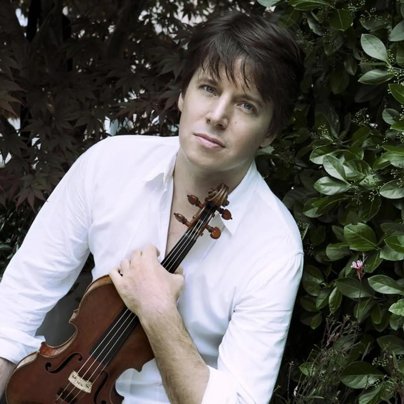 Joshua Bell Brand Page