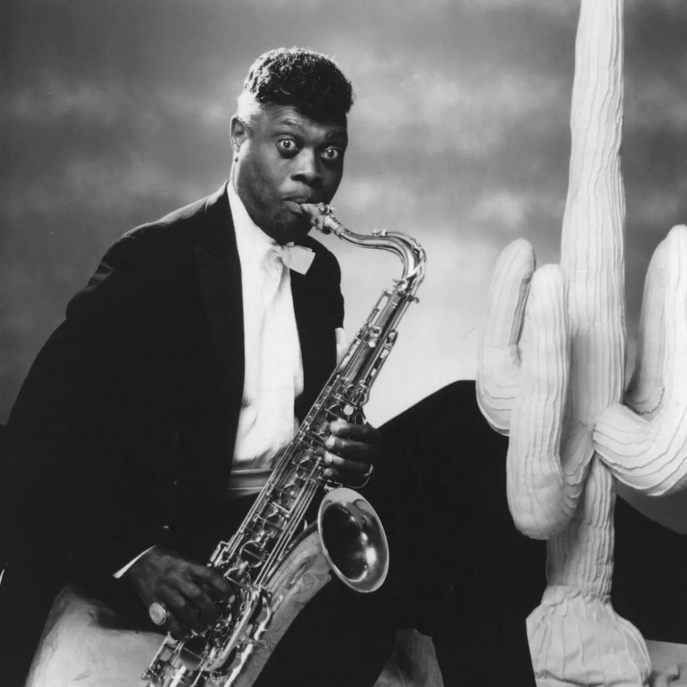 Big Jay McNeely Brand Page