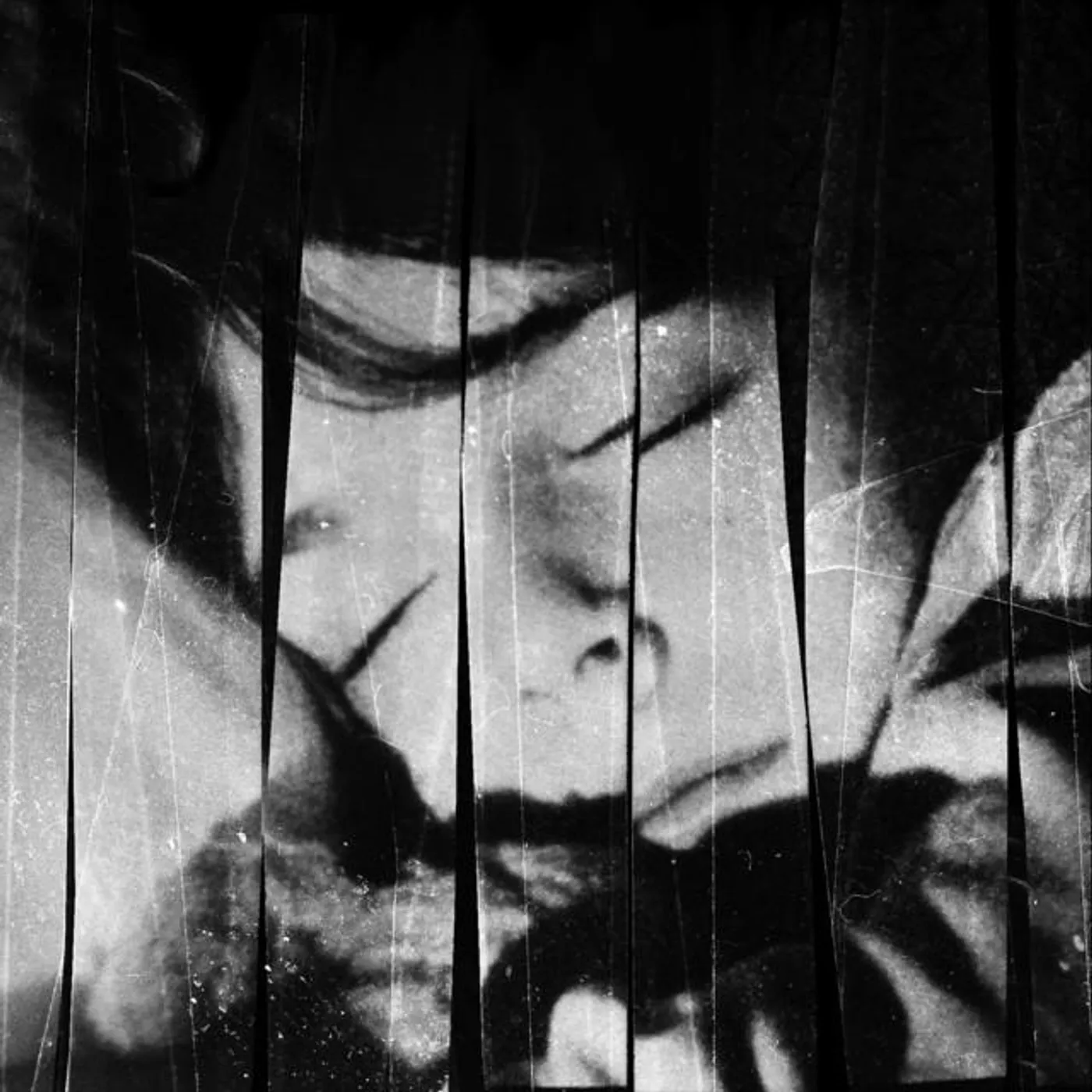 Jayne Amara Ross Brand Page