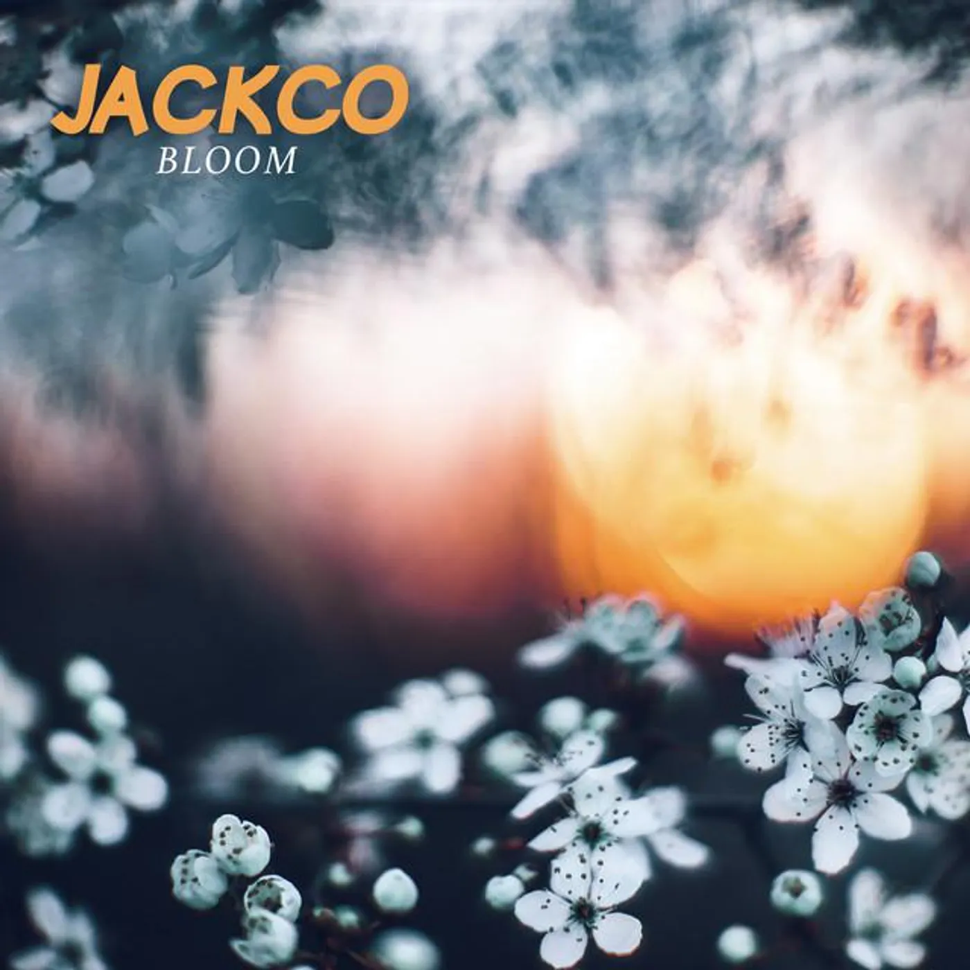 Jackco Brand Page