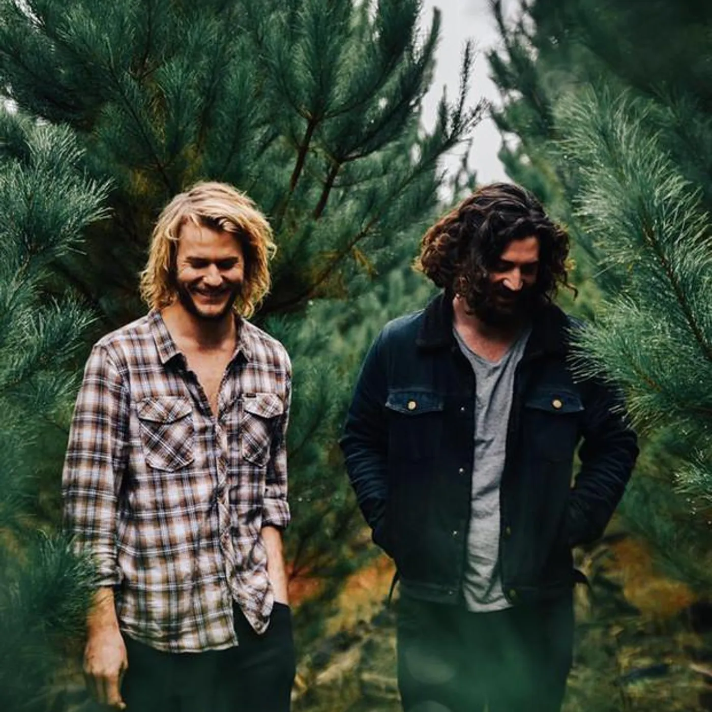 Jack the Fox Brand Page