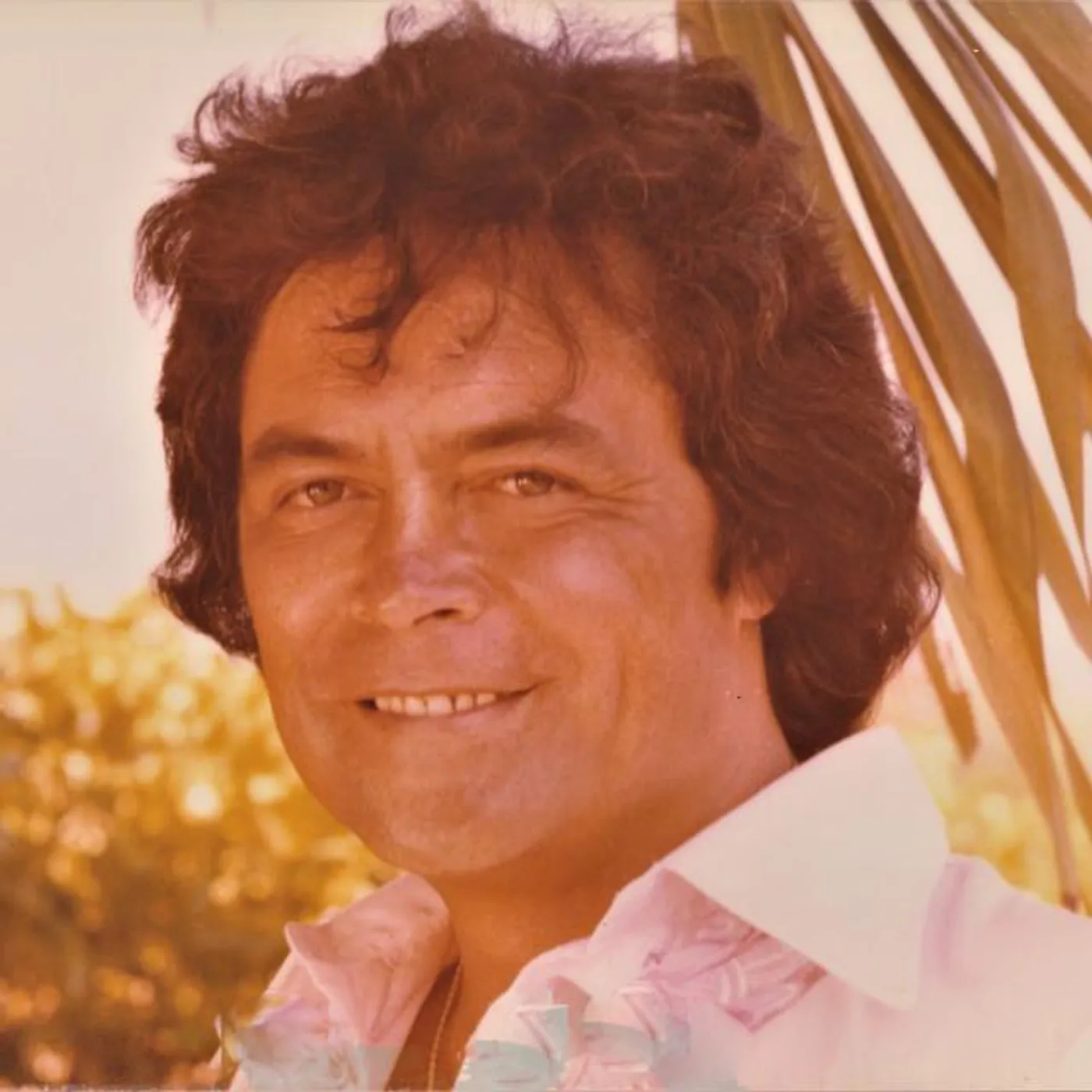 Jack Jersey Brand Page