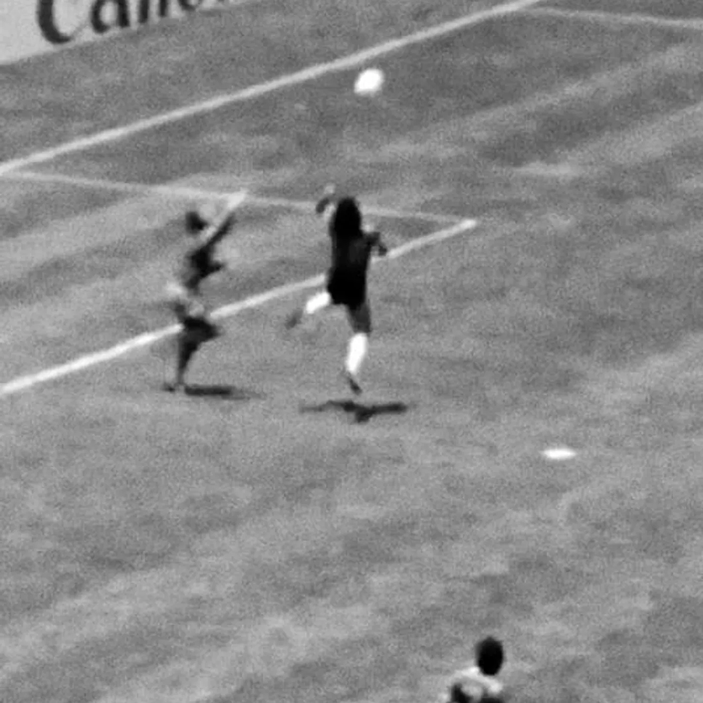 Jack Russell Brand Page