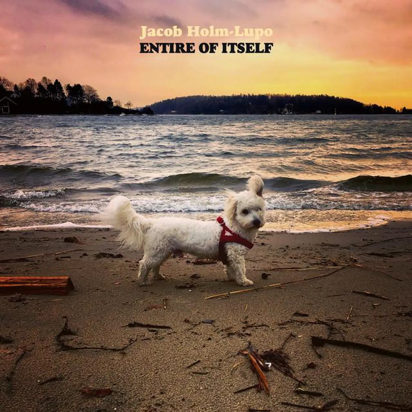 Jacob Holm-Lupo Brand Page