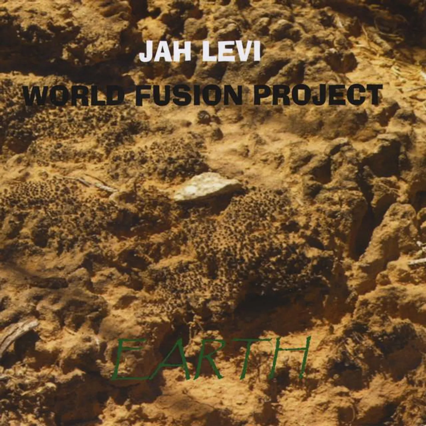 Jah Levi World Fusion Project Brand Page