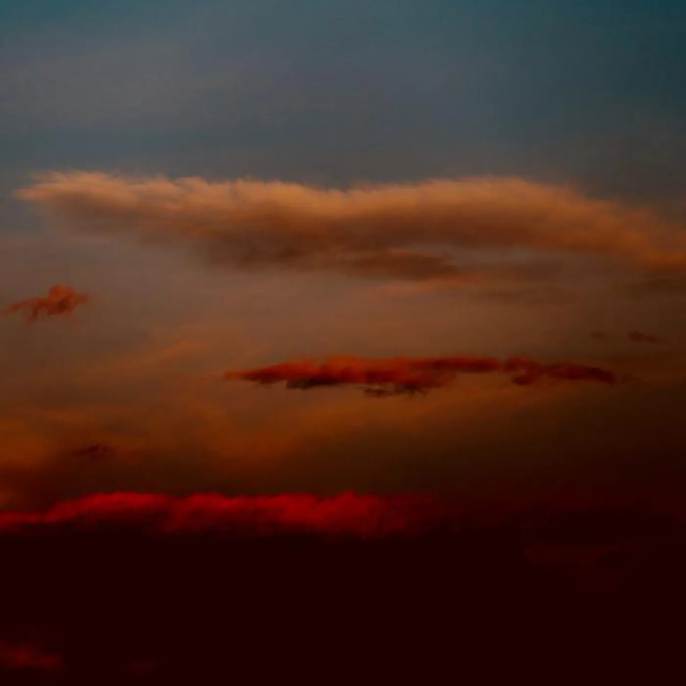 Jaidy Thissen Brand Page