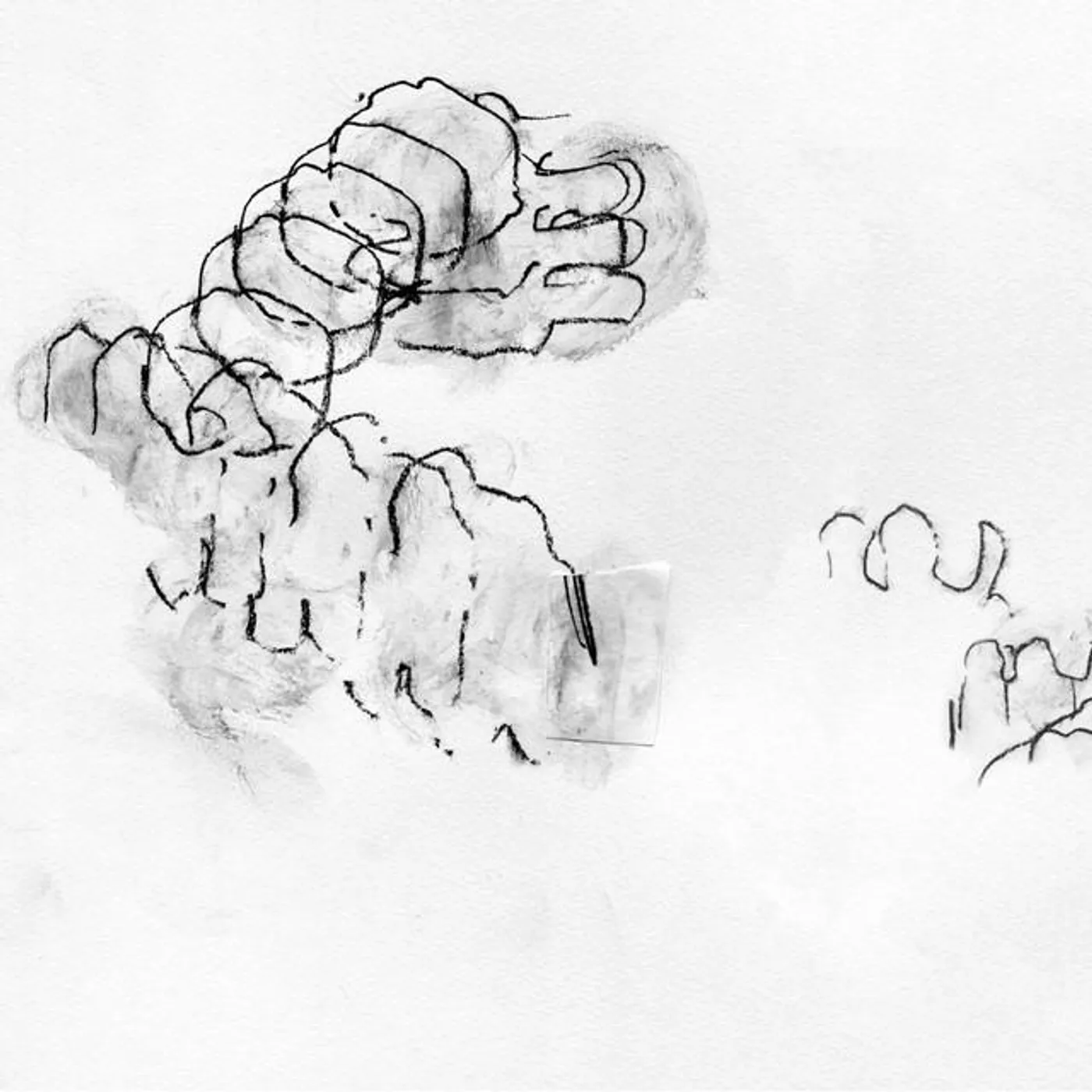 Jake Meginsky Brand Page