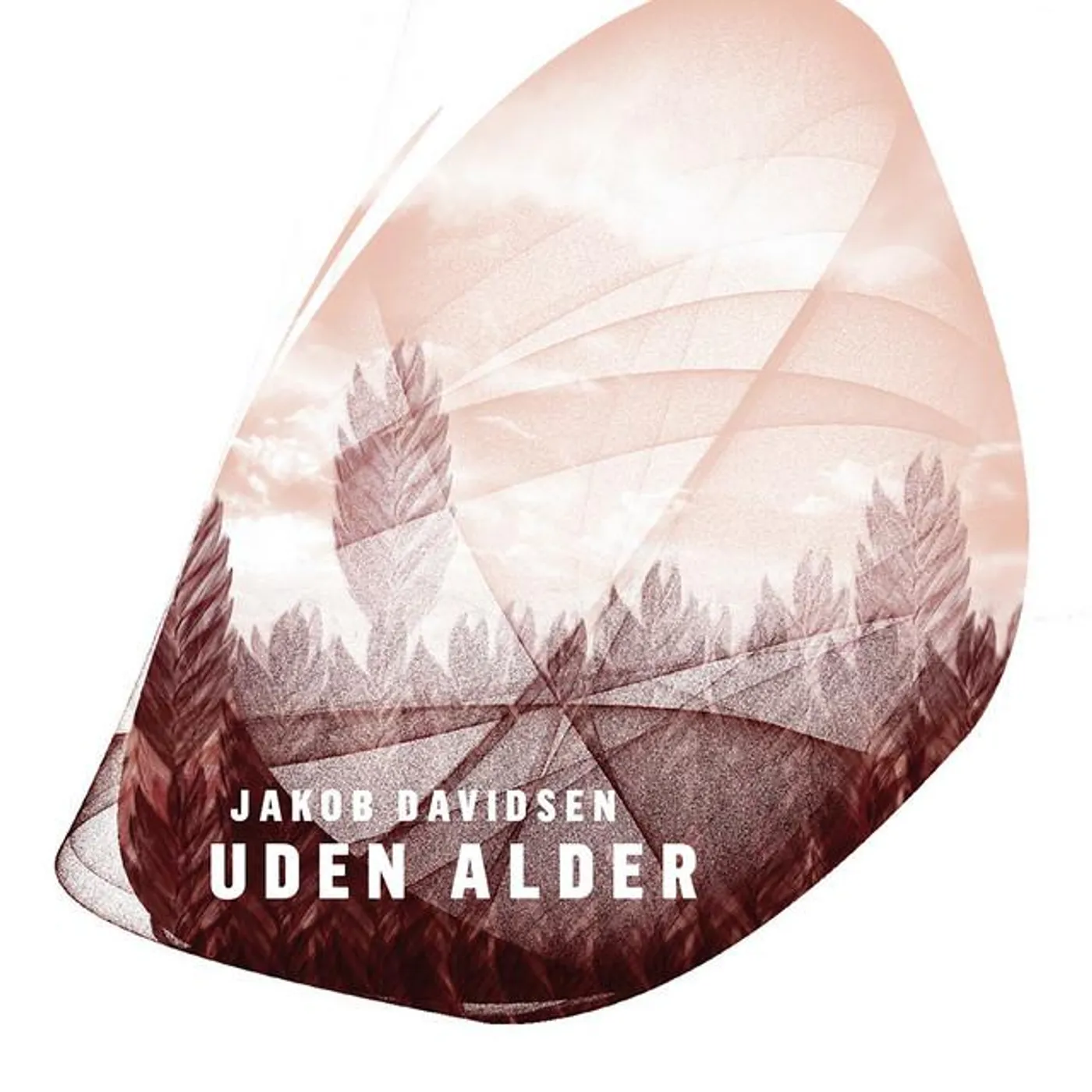 Jakob Davidsen Brand Page