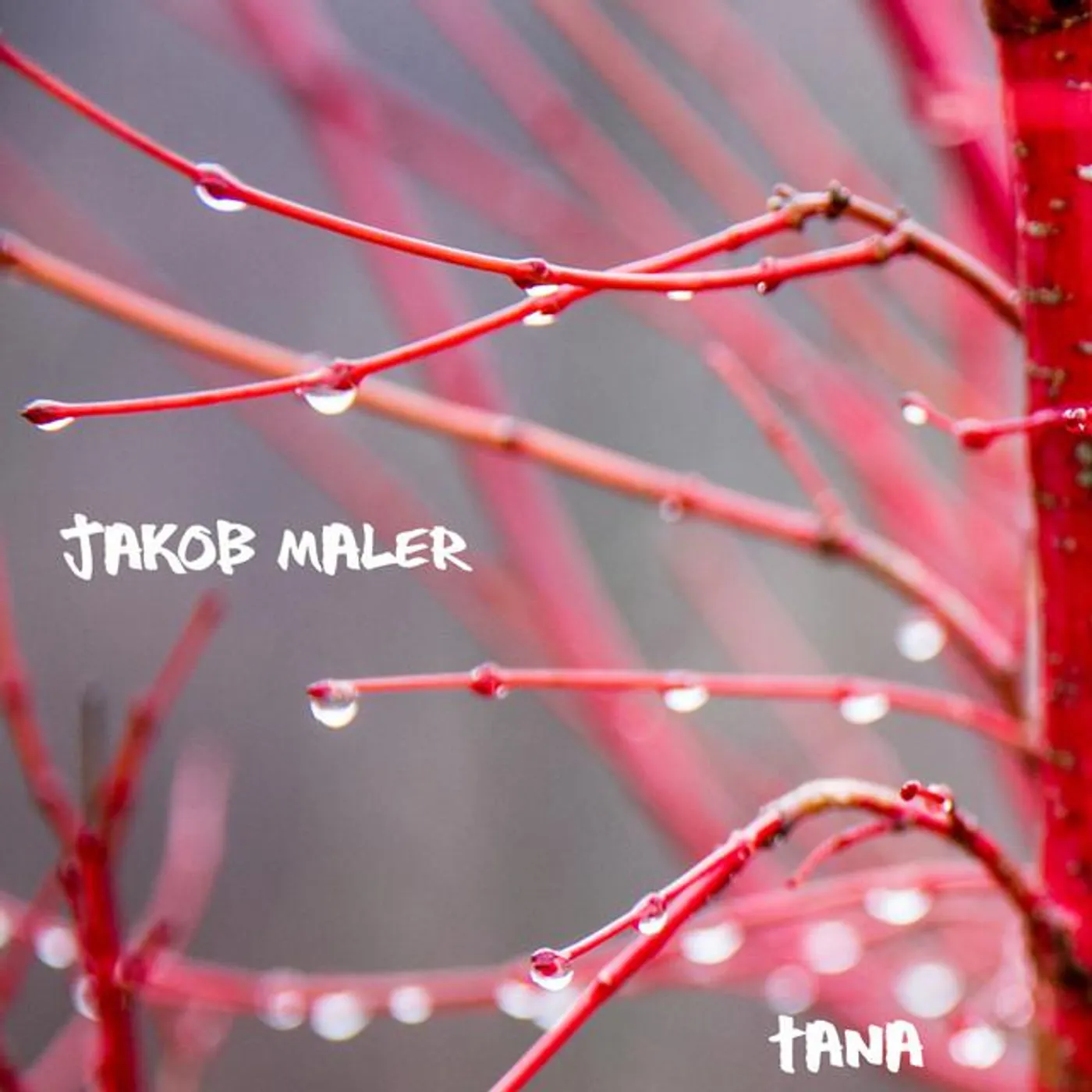 Jakob Maler Brand Page