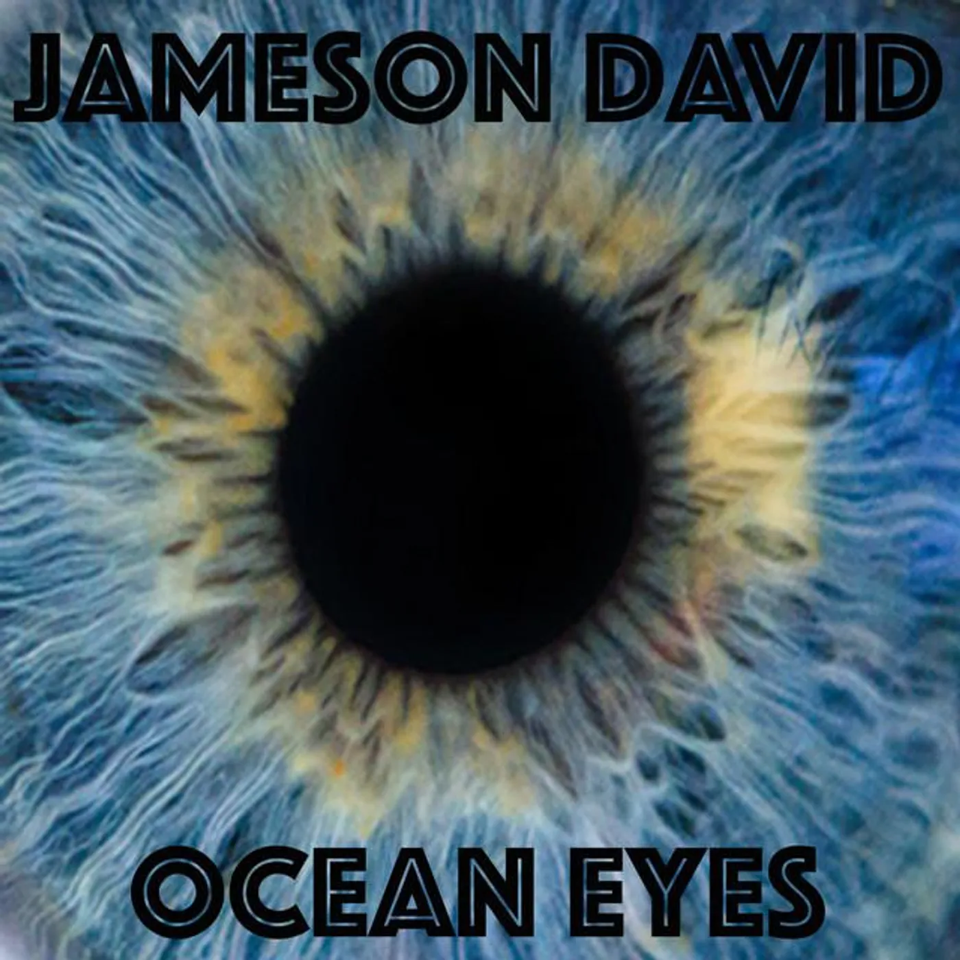 Jameson David Brand Page