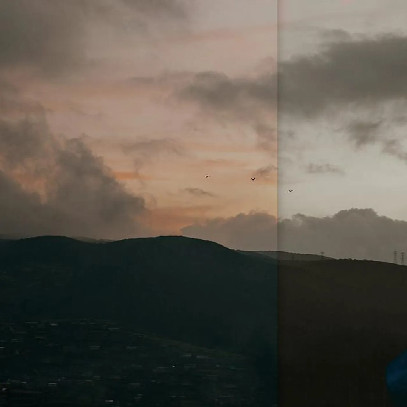 Jase Moran Brand Page