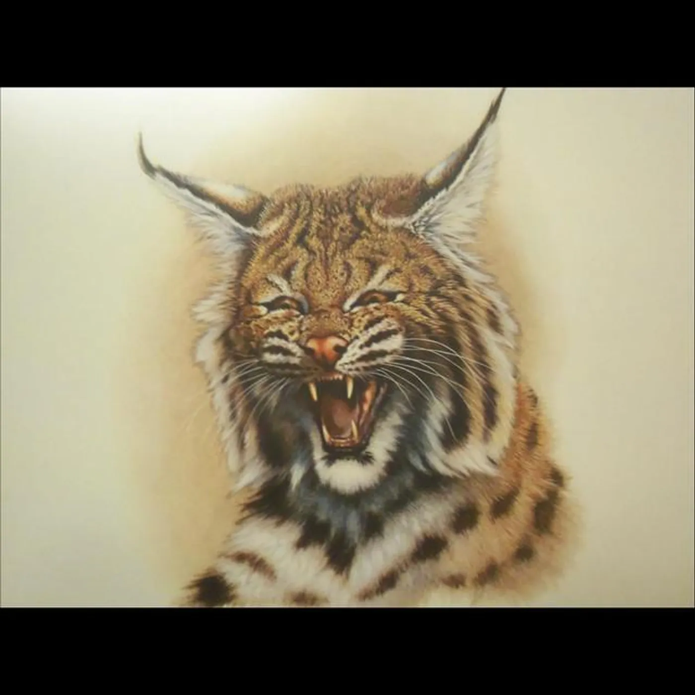 Jason Eustice Brand Page