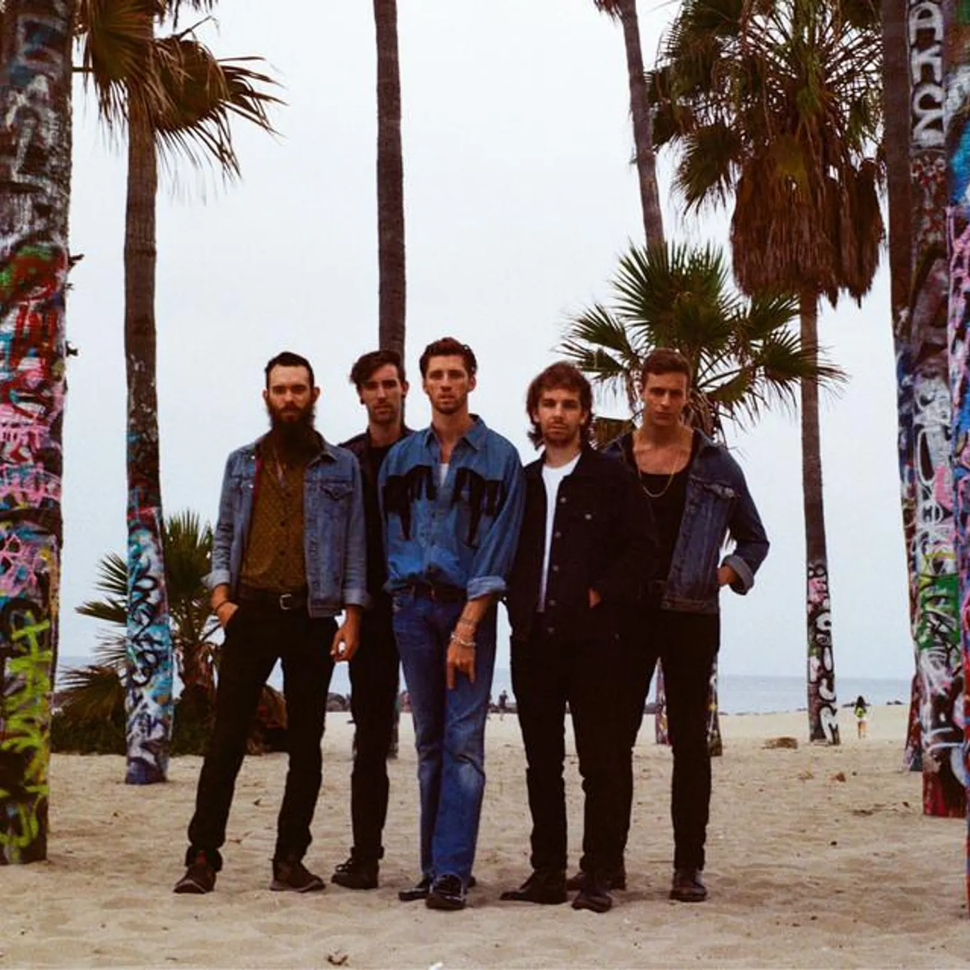 Jet Black Alley Cat Brand Page