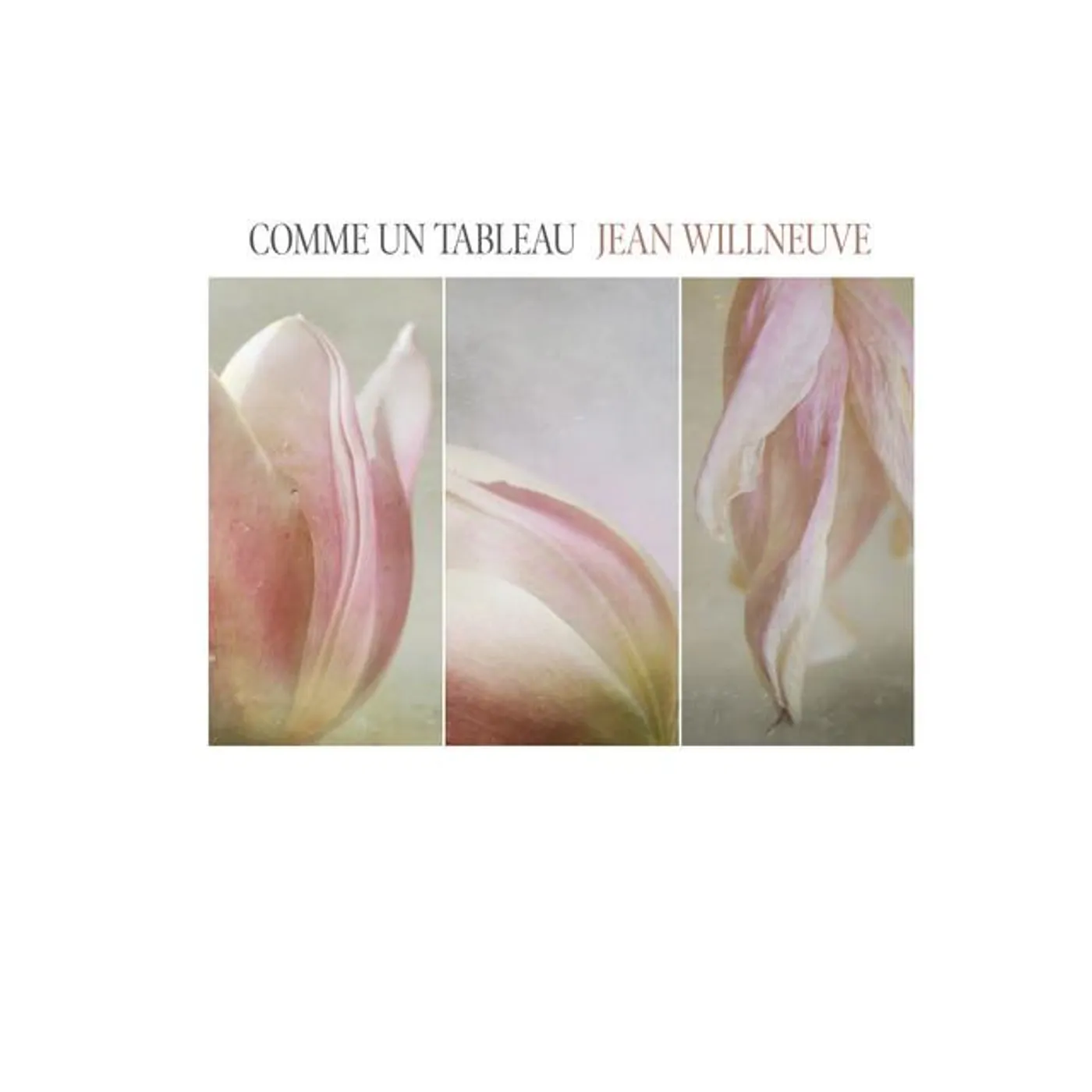 Jean Willneuve Brand Page