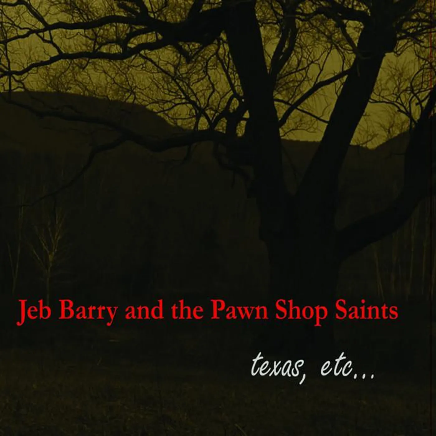 Jeb Barry and The Pawn Shop Saints