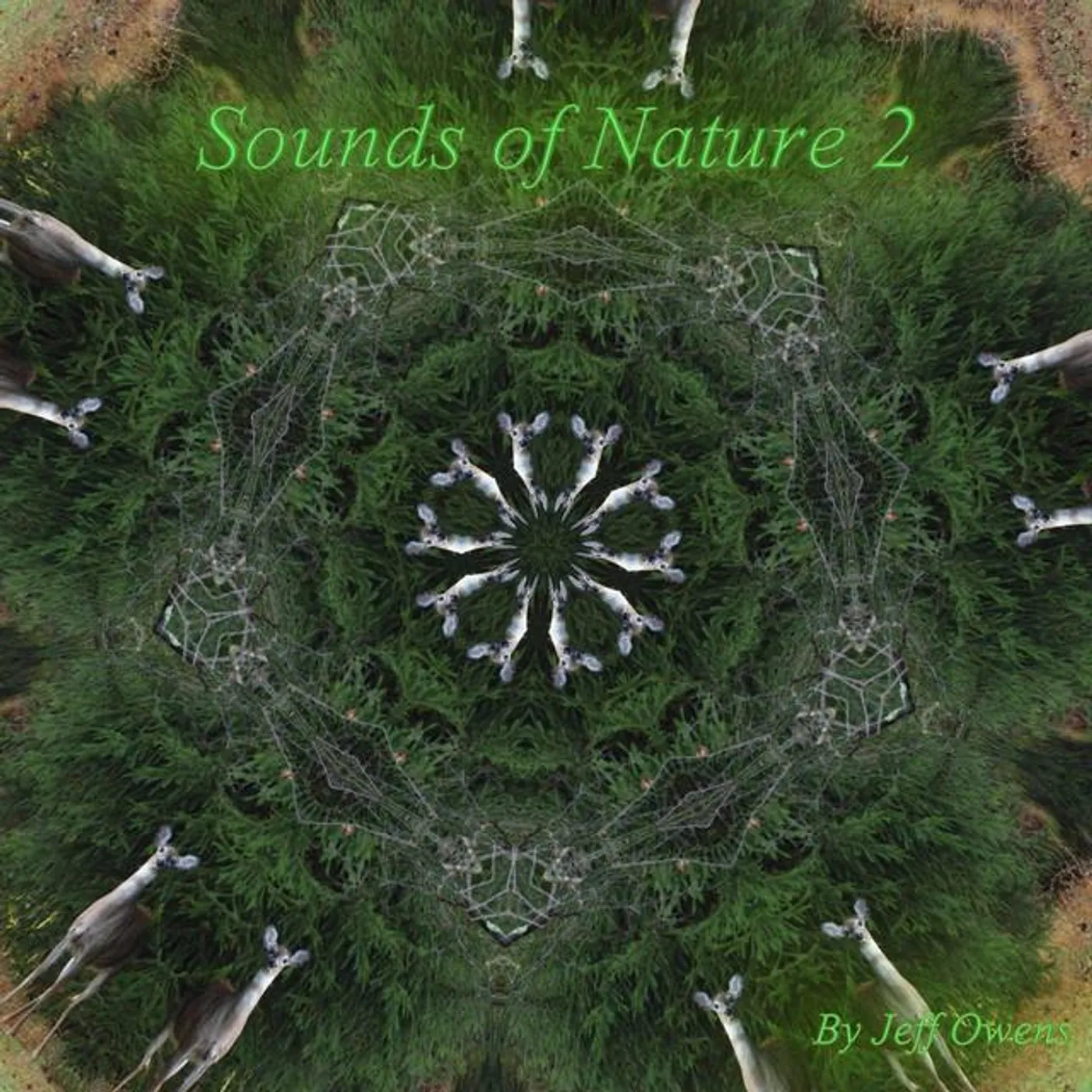 Jeff Owens Brand Page