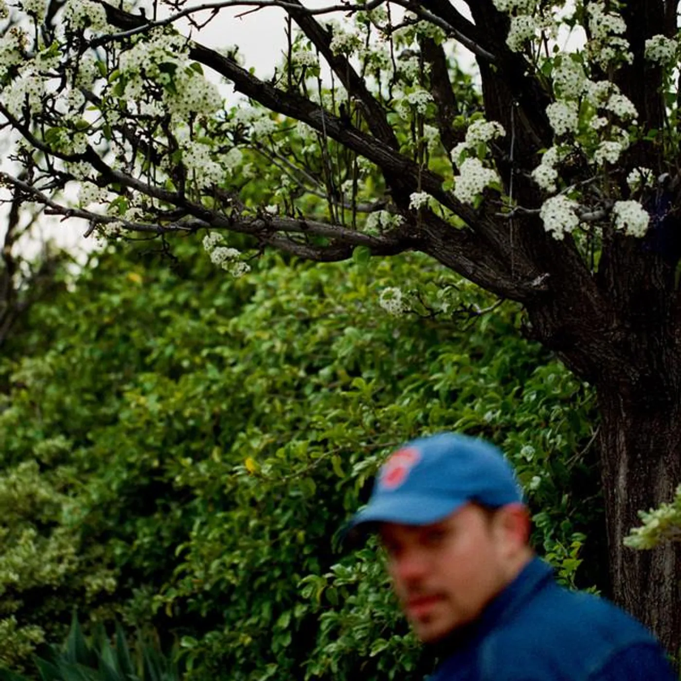 Jeff Rosenstock Brand Page