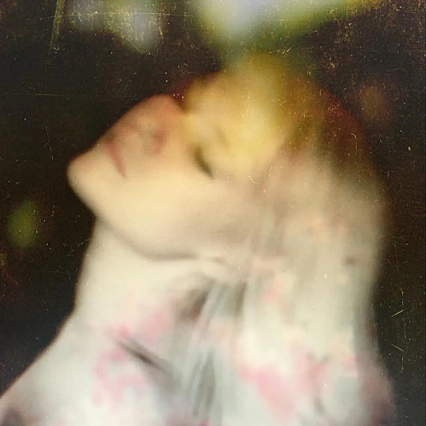 Jenna Fournier Brand Page