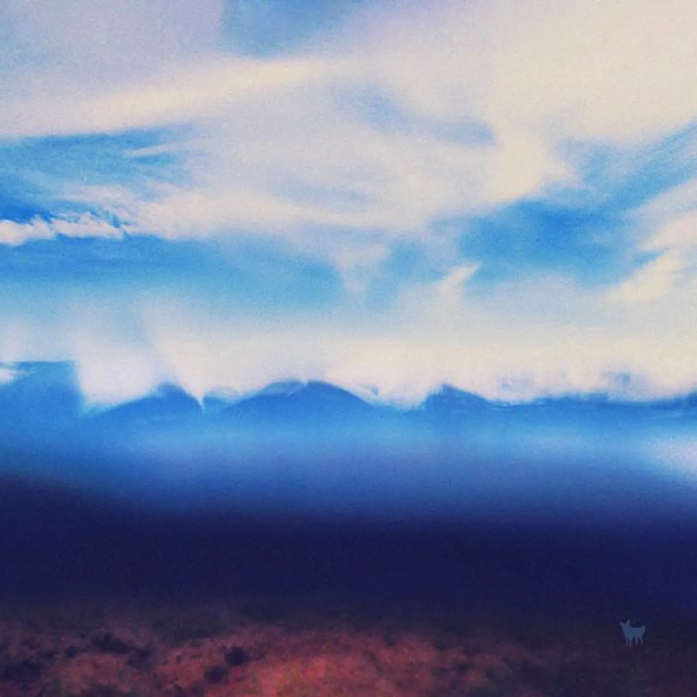 Jenny Sturgeon Brand Page