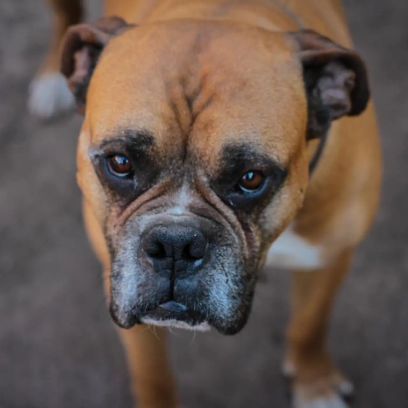 Jenry Cancura Brand Page