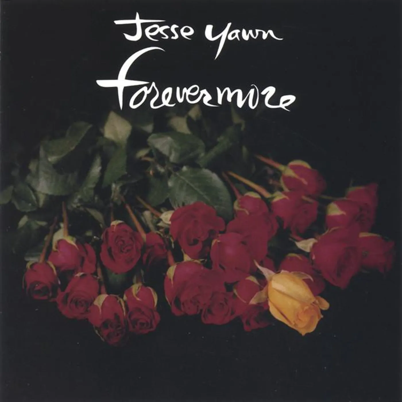 Jesse Yawn Brand Page