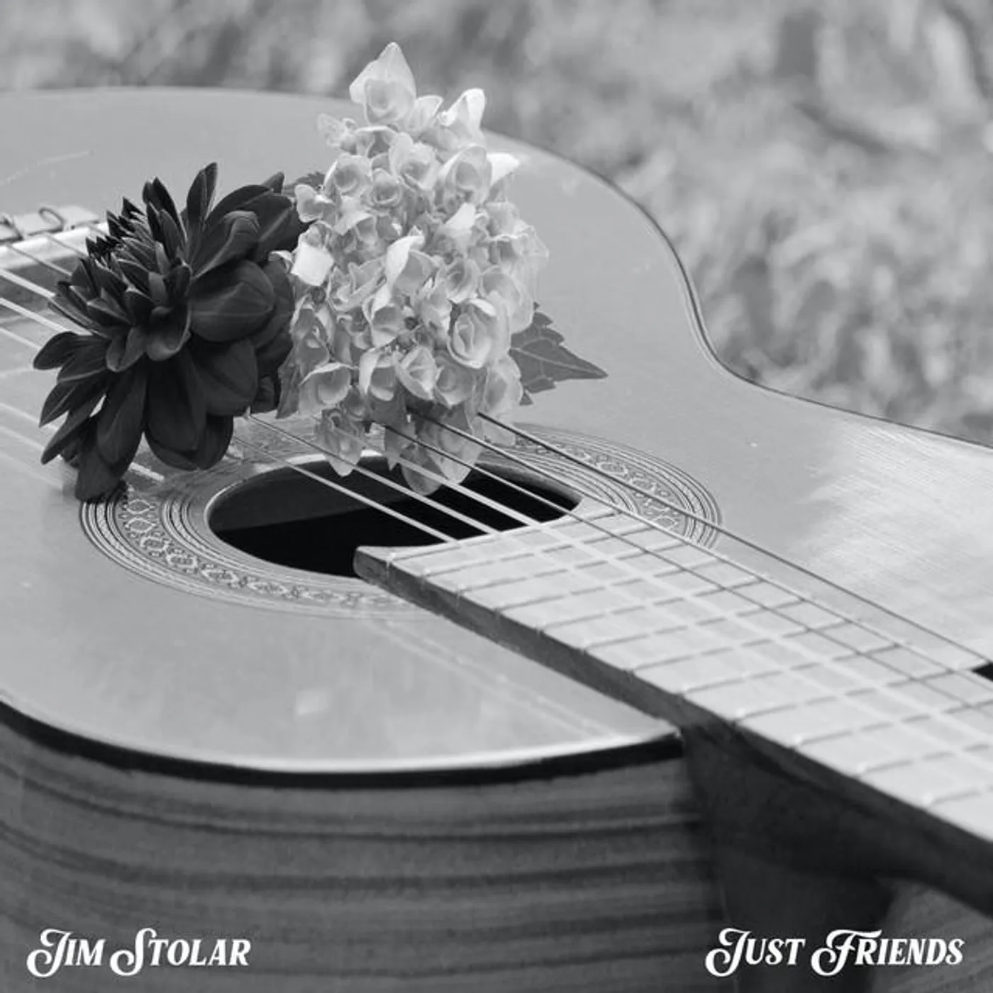 Jim Stolar Brand Page