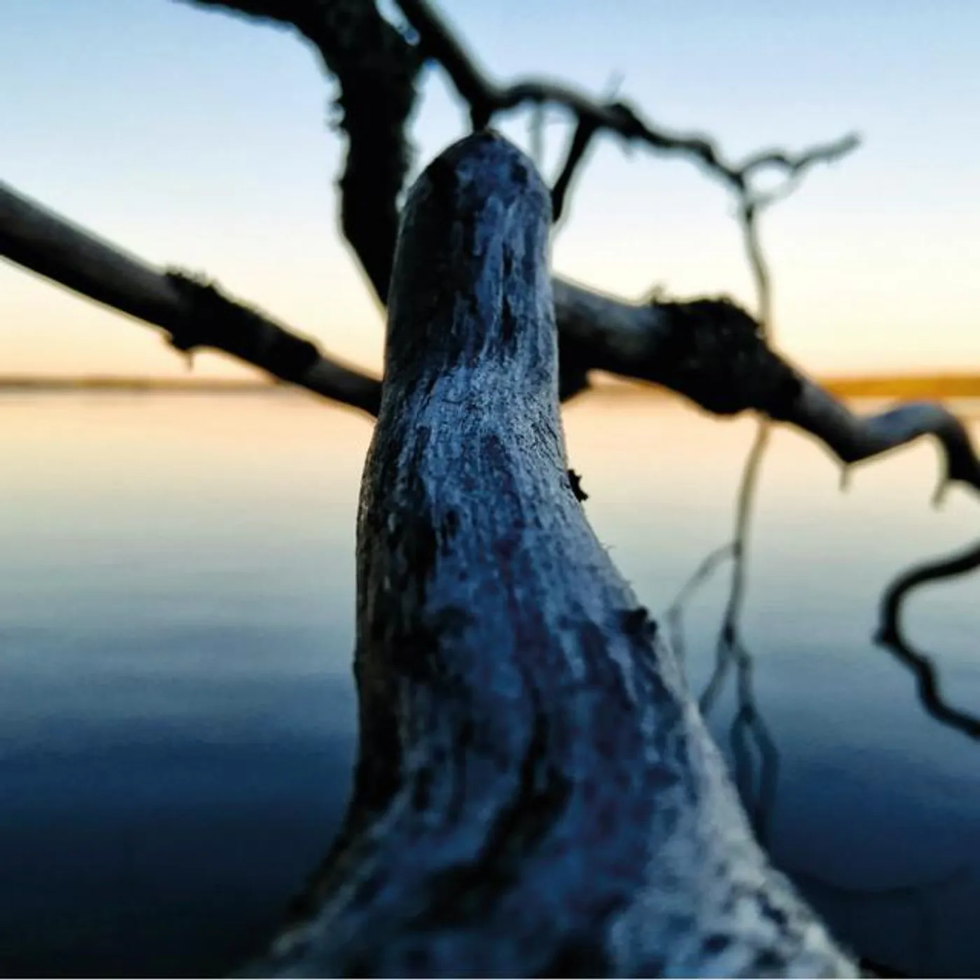 Juha-Matti Rautiainen