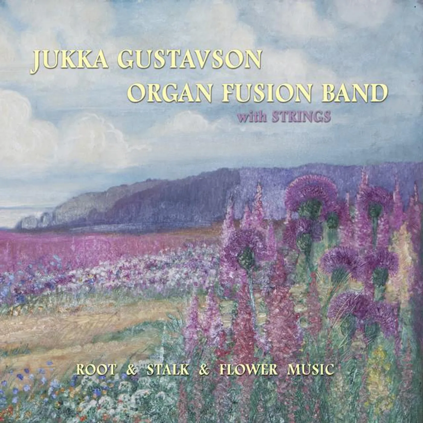 Jukka Gustavson Organ Fusion Band with Strings Brand Page