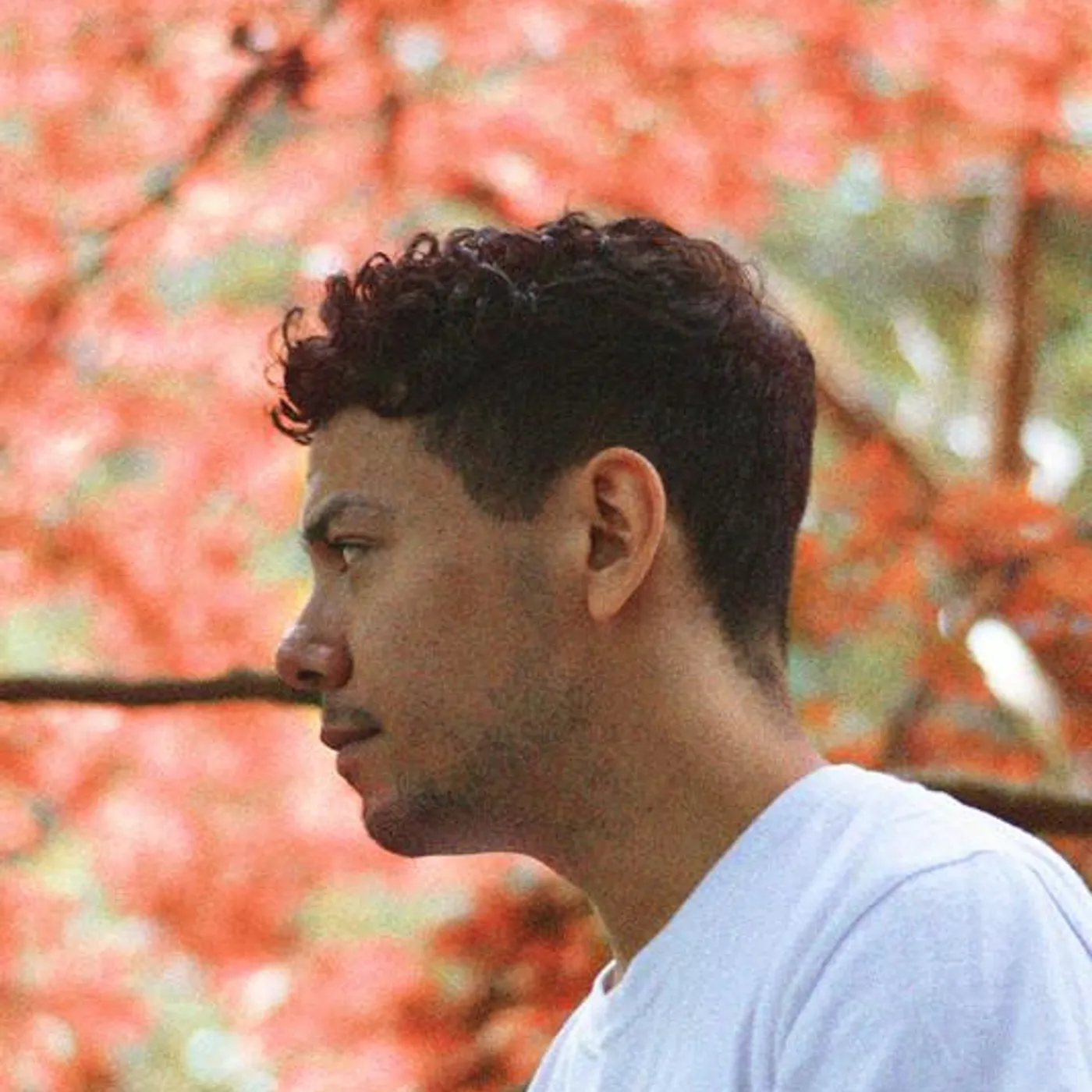 Julian Calor Brand Page