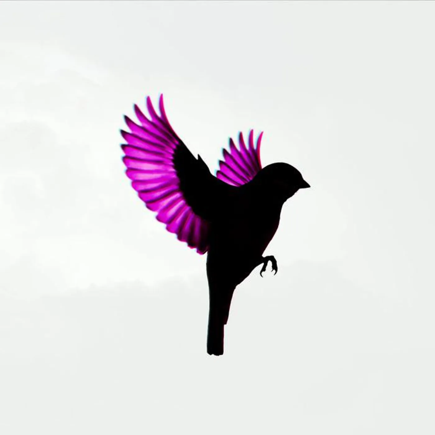 Jump, Little Children Brand Page