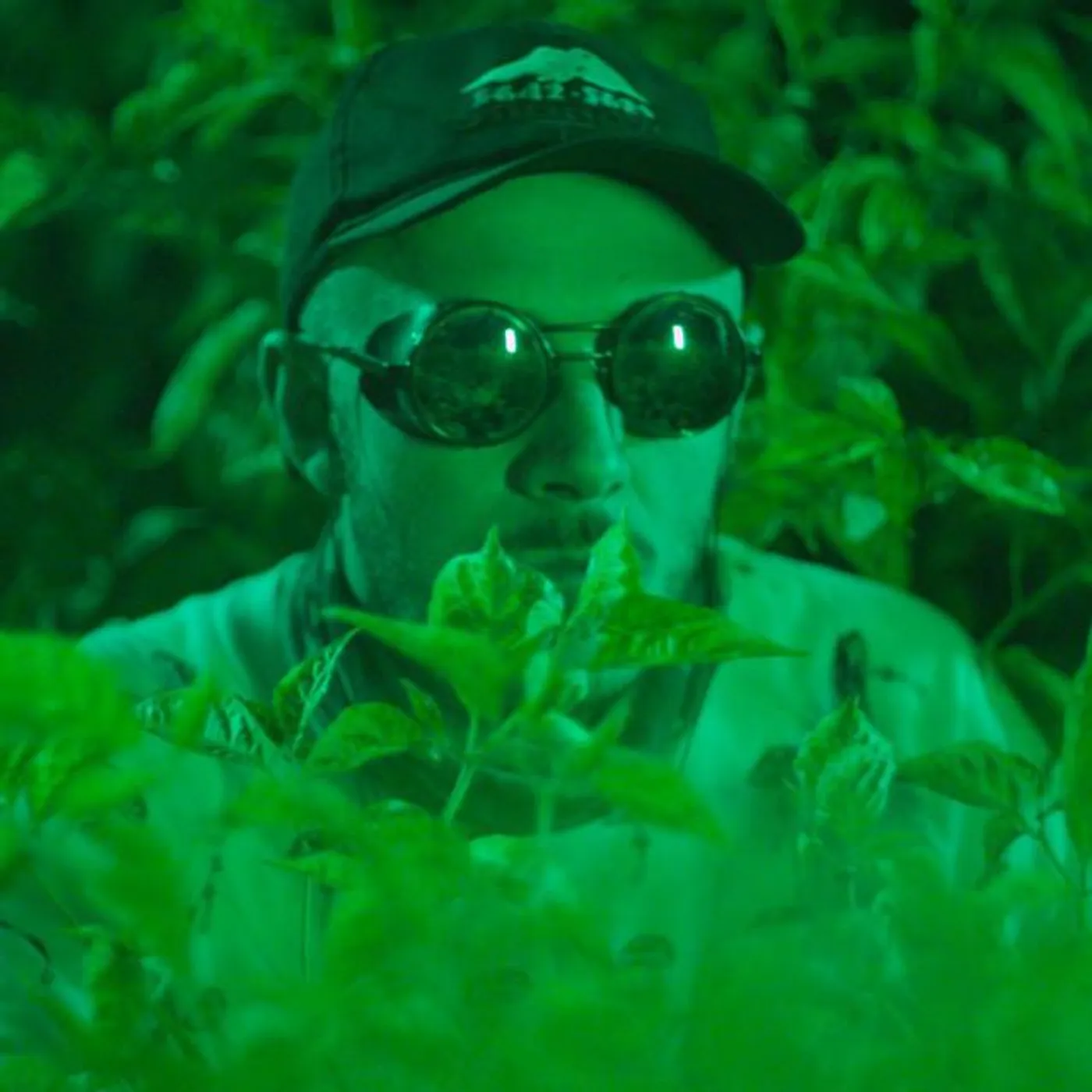 Junior Stress Brand Page