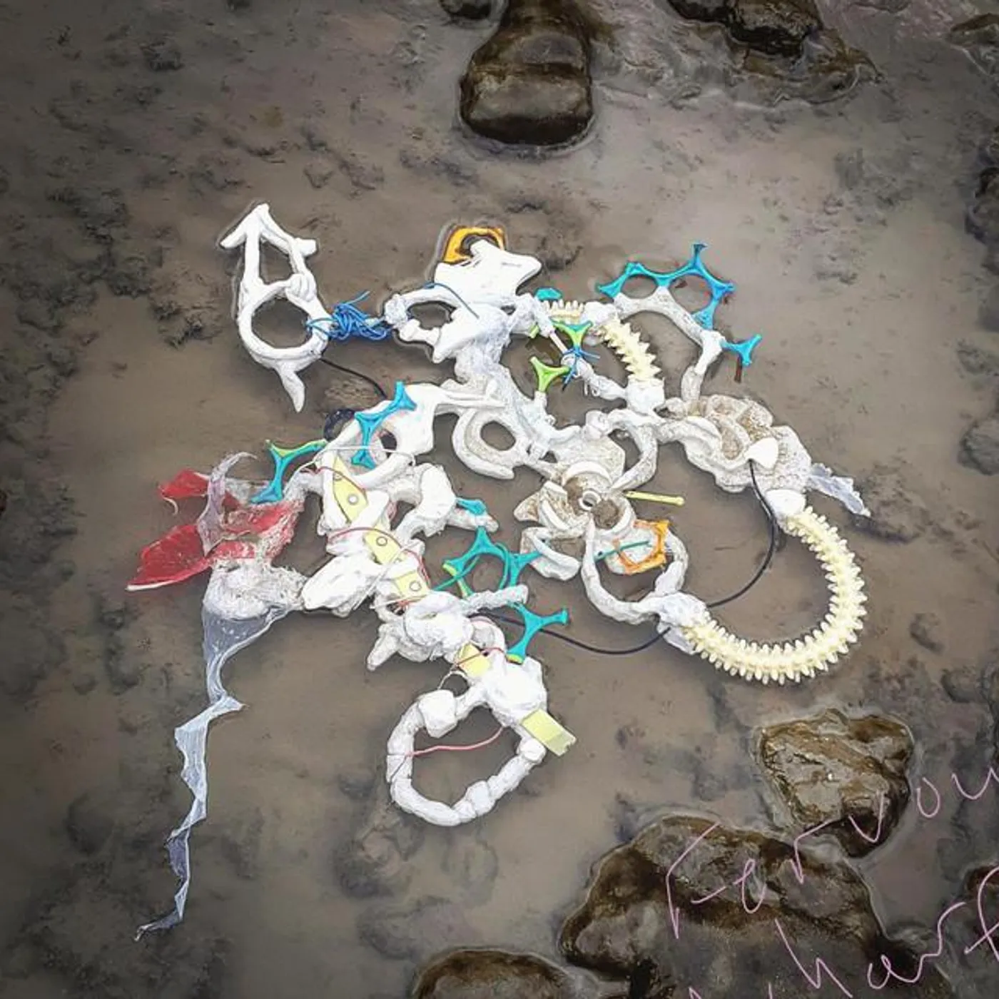 Junior XL Brand Page