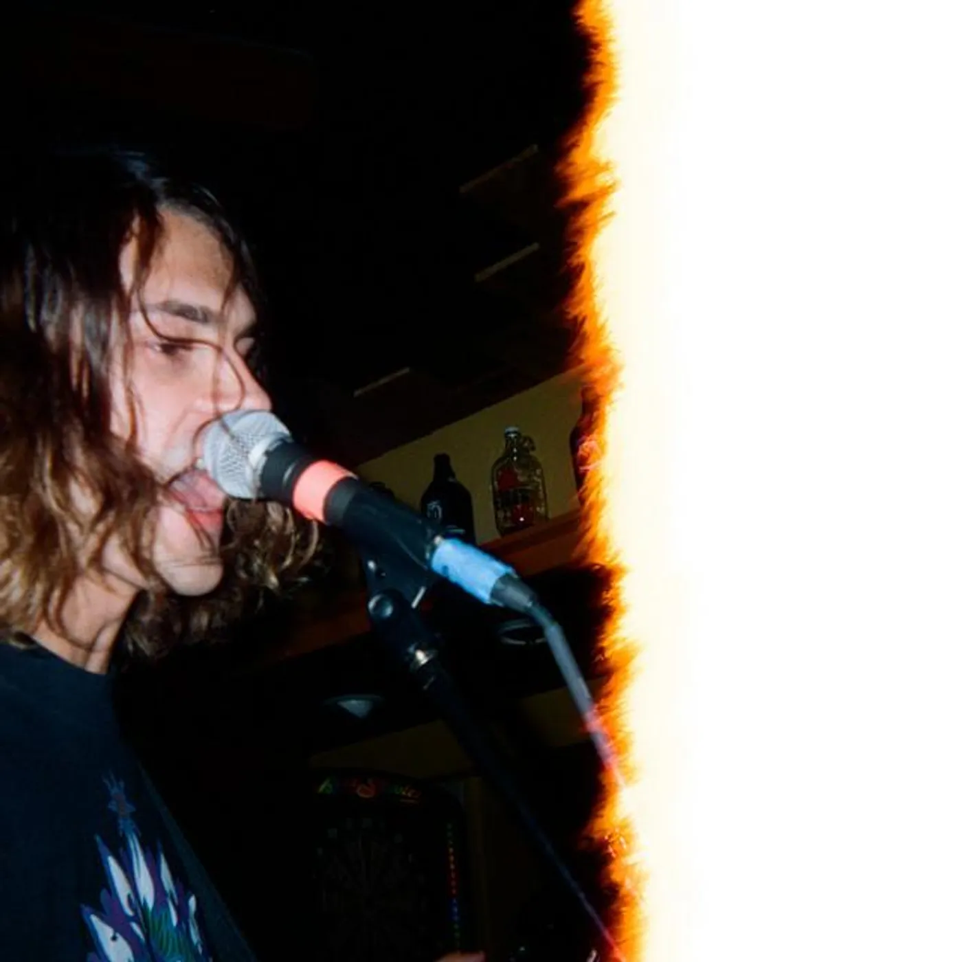 The Juniper Berries Brand Page