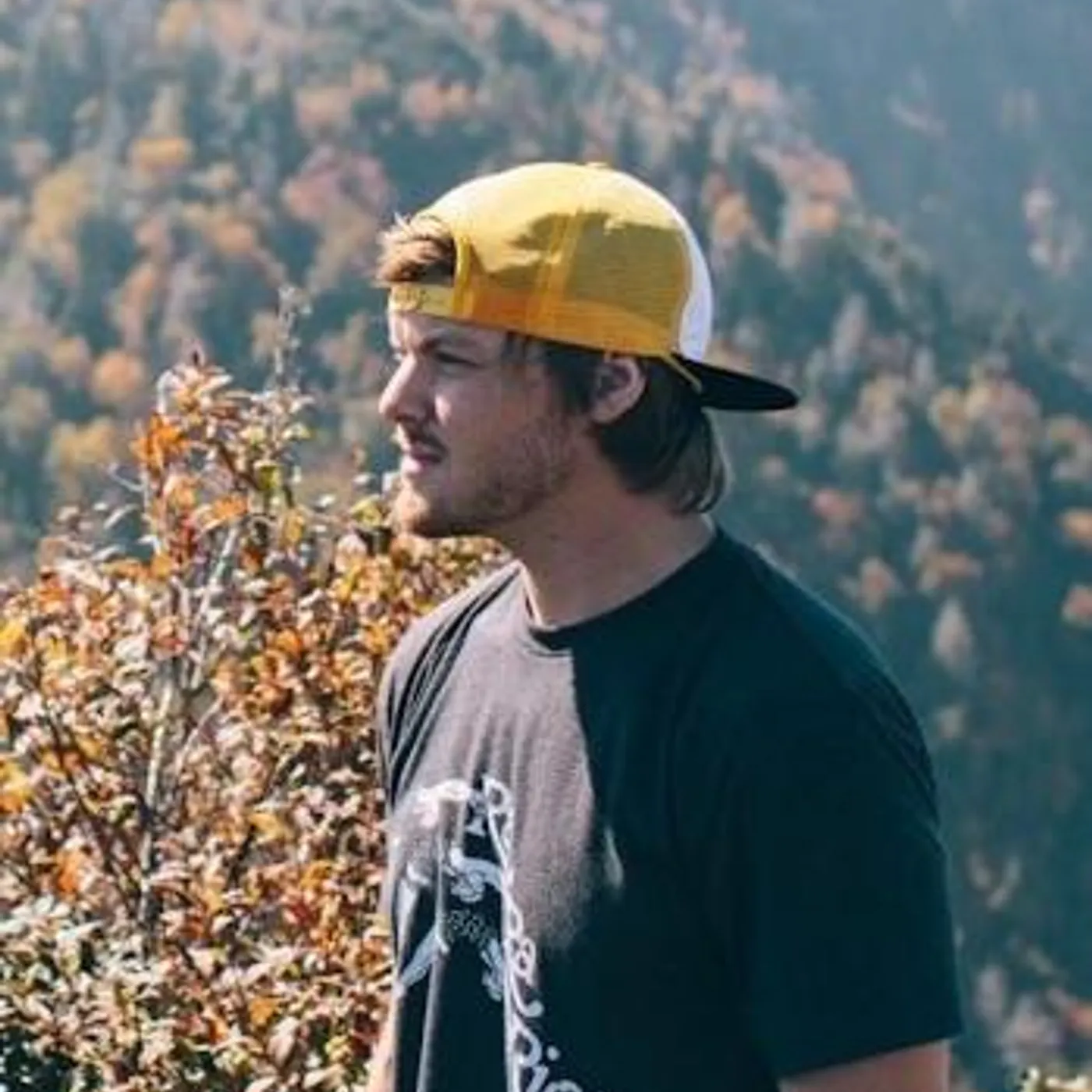 K. Gautier Brand Page