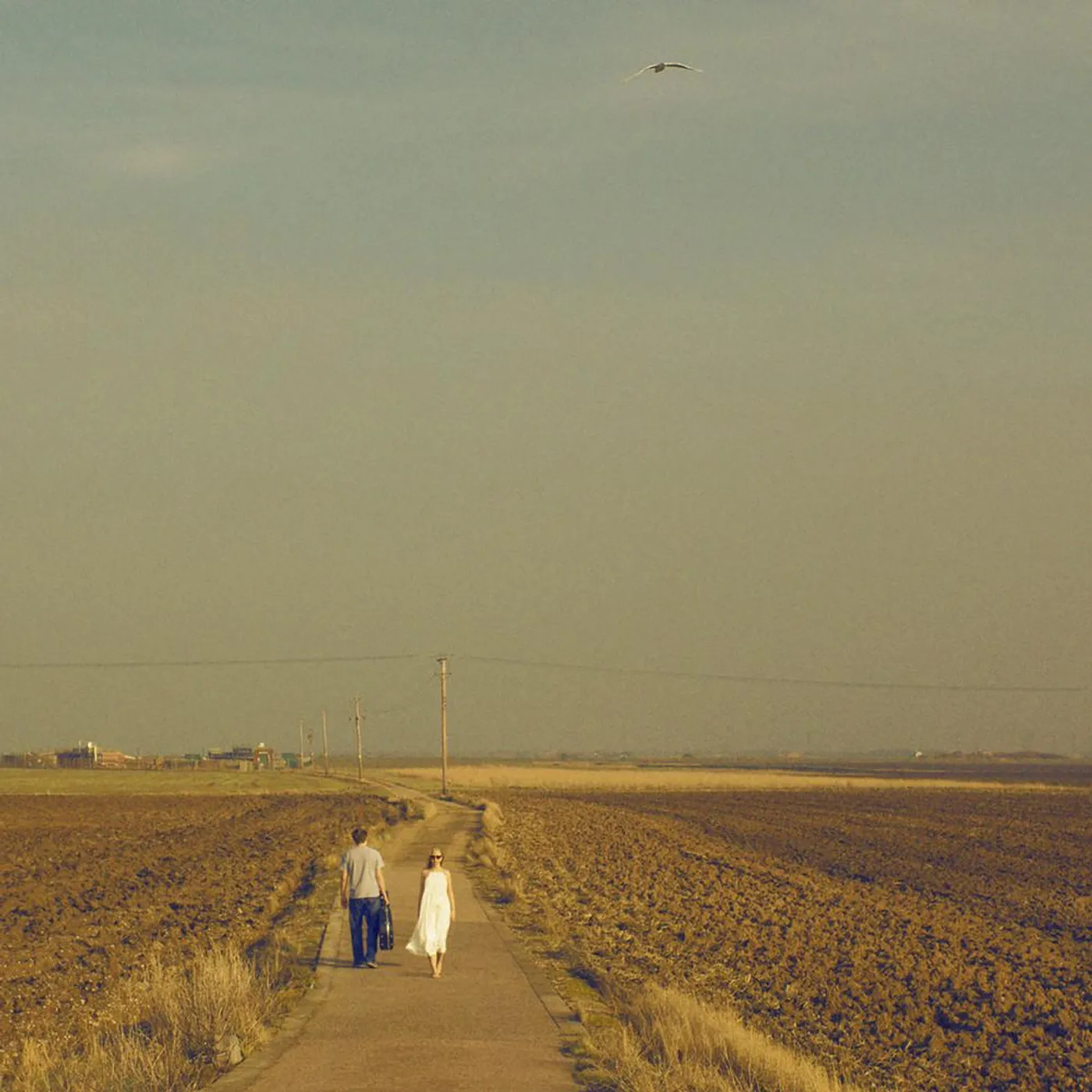 On Dead Waves Brand Page