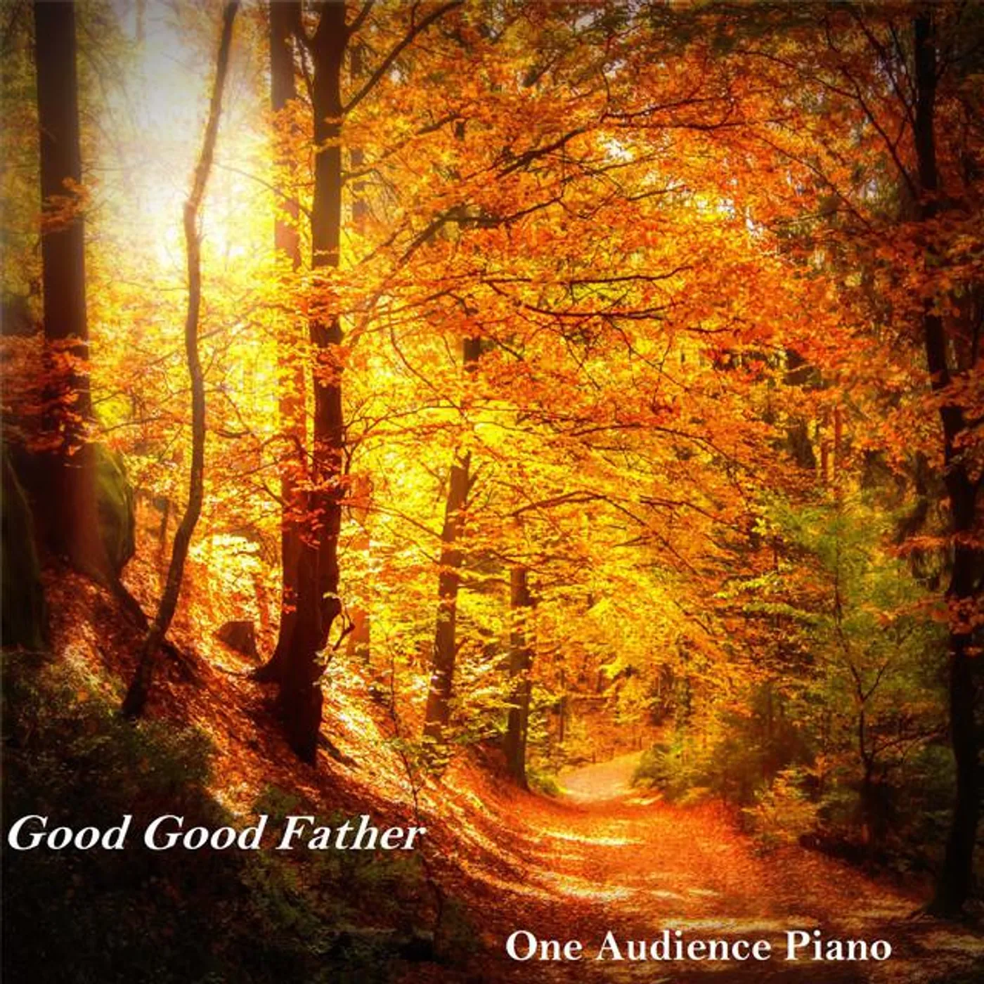 One Audience Piano Brand Page