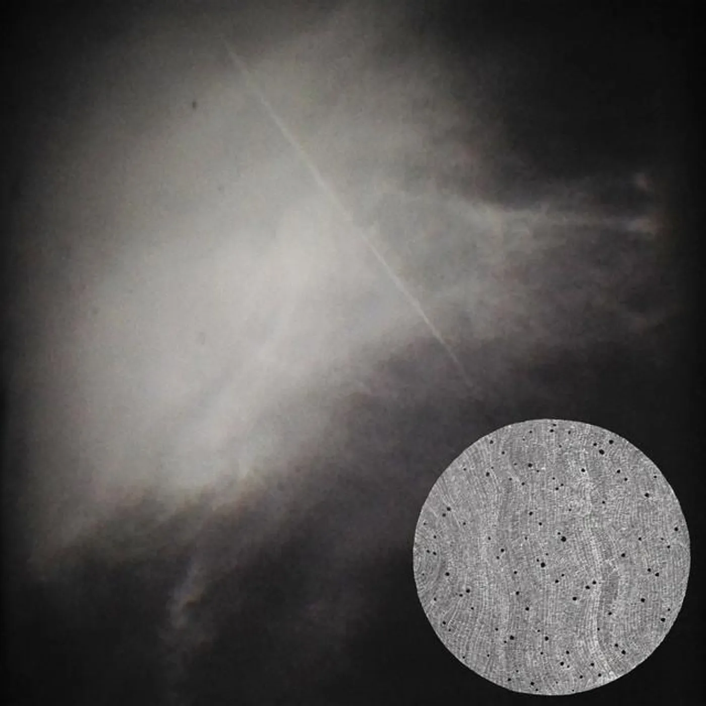 Only Edges Brand Page