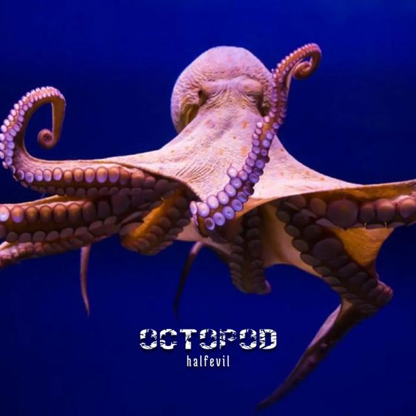Octopod