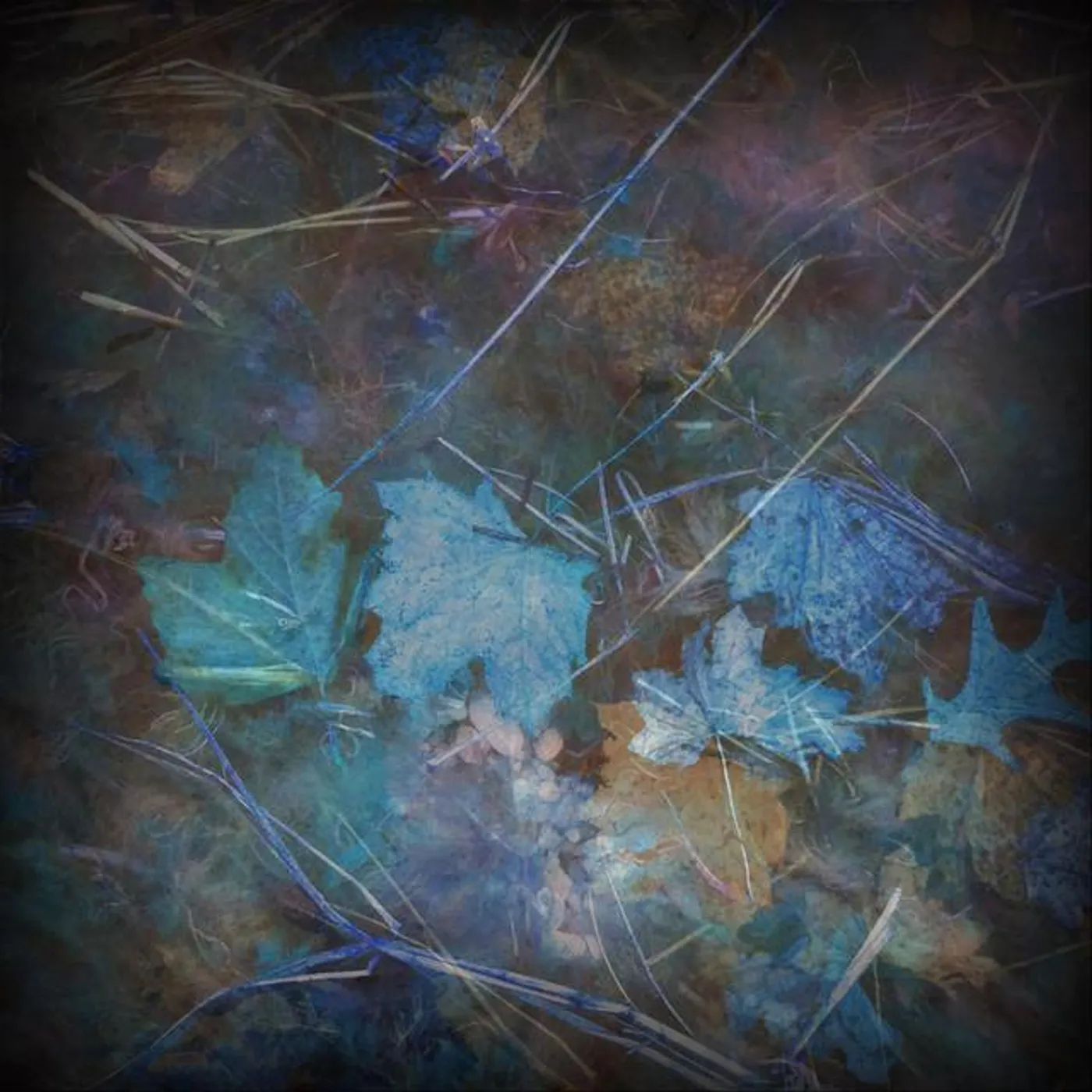 Ocean Carolina Brand Page