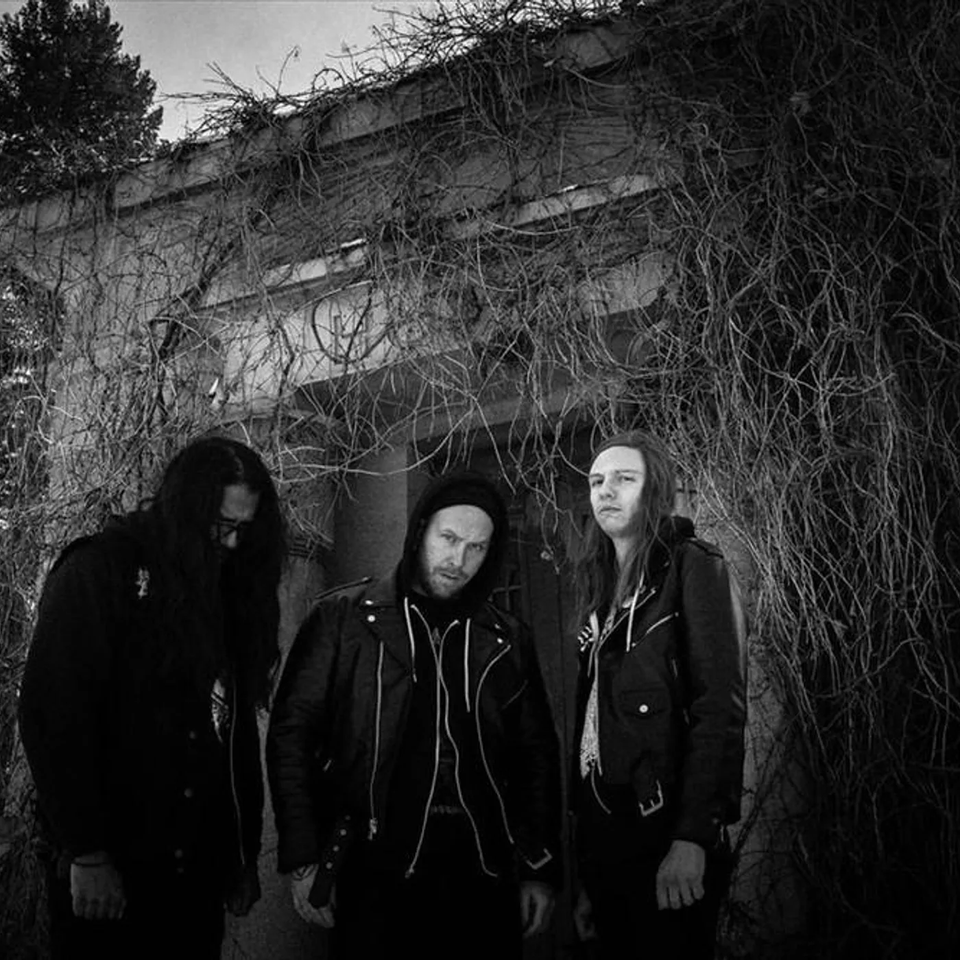 Of Feather And Bone Brand Page