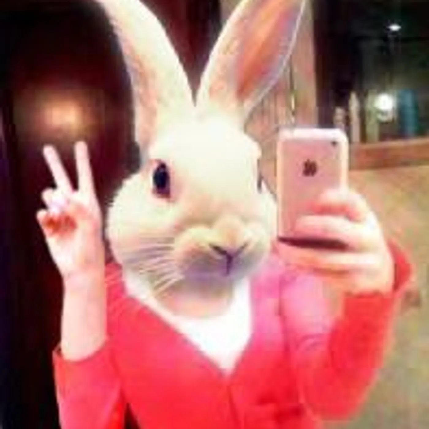 $OHO BANI Brand Page