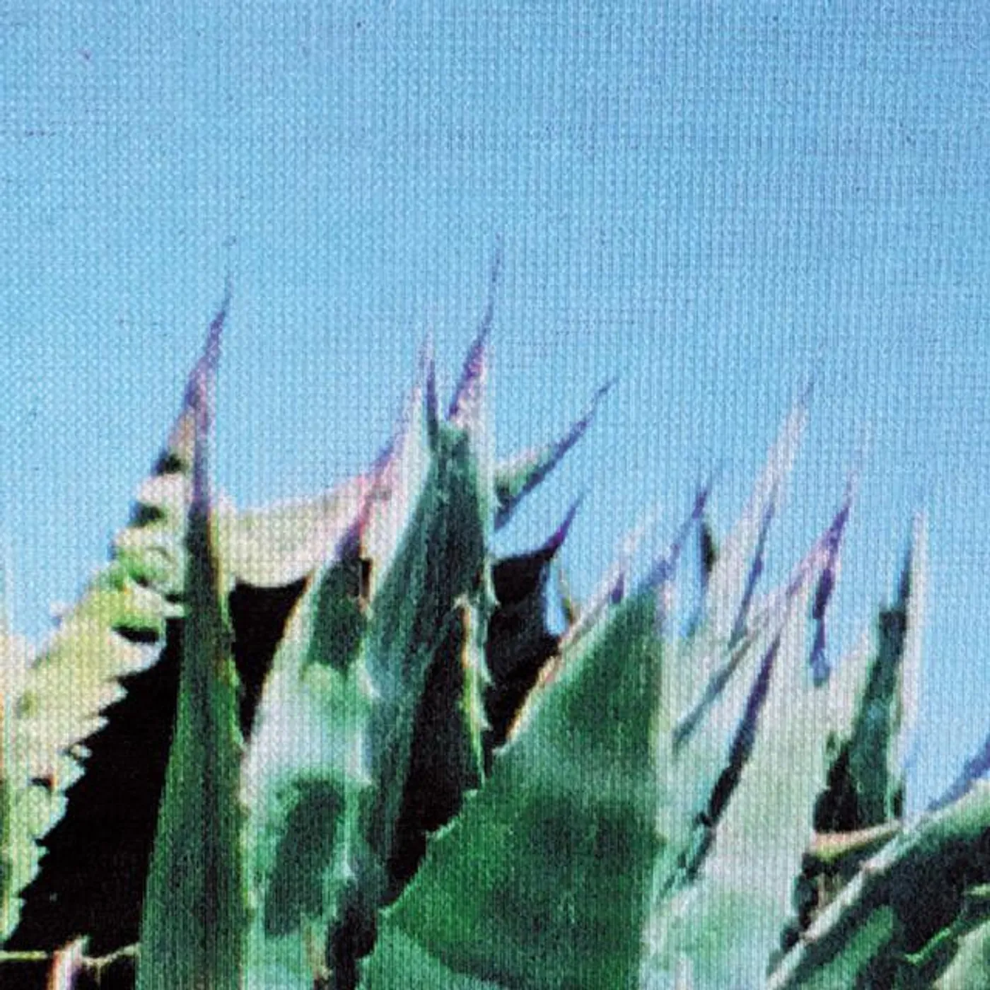 S Olbricht Brand Page