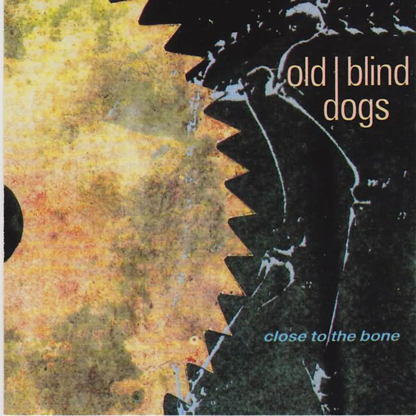 Old Blind Dogs Brand Page